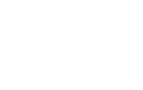 Gym Bats